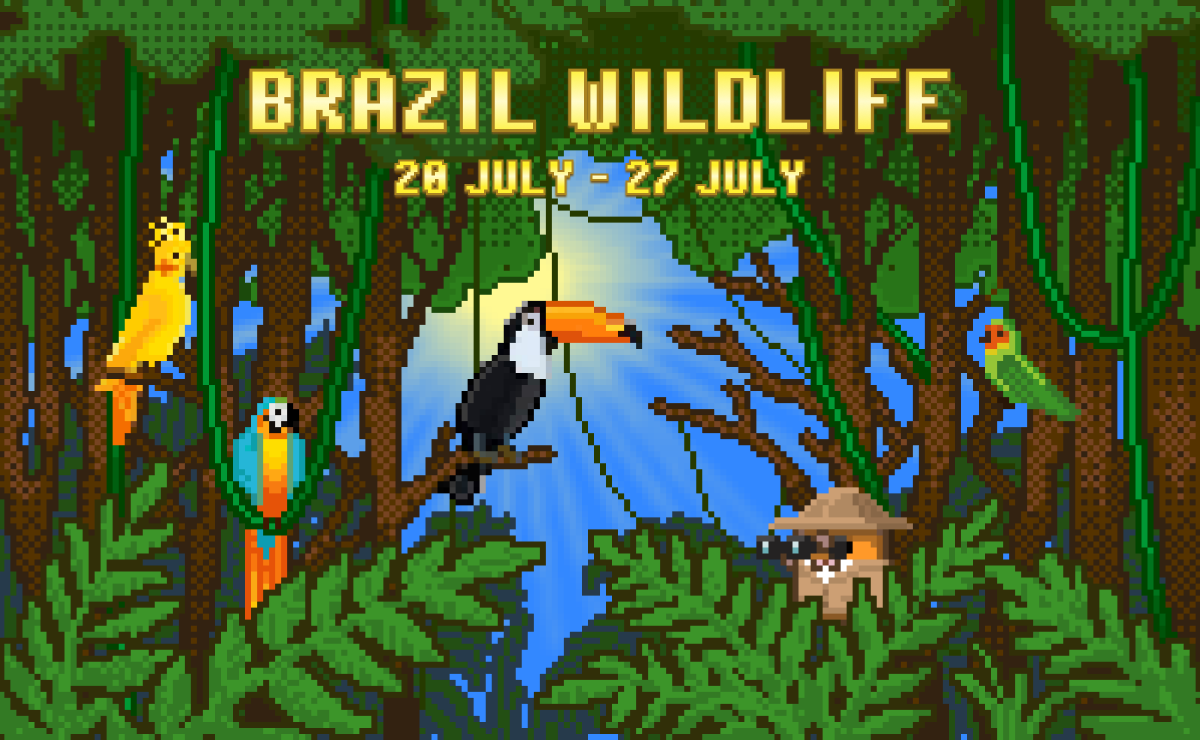 Brazil Wildlife Awaits!